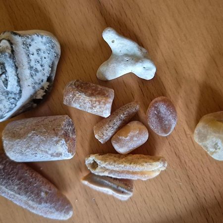 Ferienwohnung-Wildblume Petersdorf auf Fehmarn المظهر الخارجي الصورة