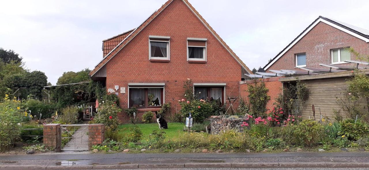 Ferienwohnung-Wildblume Petersdorf auf Fehmarn المظهر الخارجي الصورة