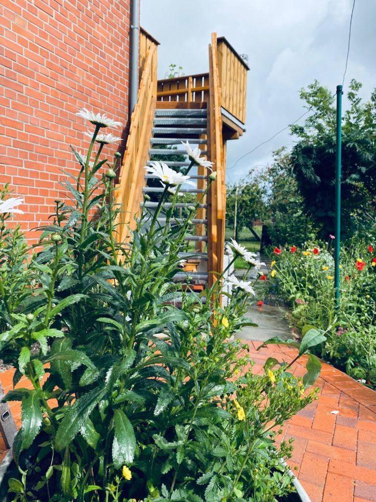 Ferienwohnung-Wildblume Petersdorf auf Fehmarn المظهر الخارجي الصورة