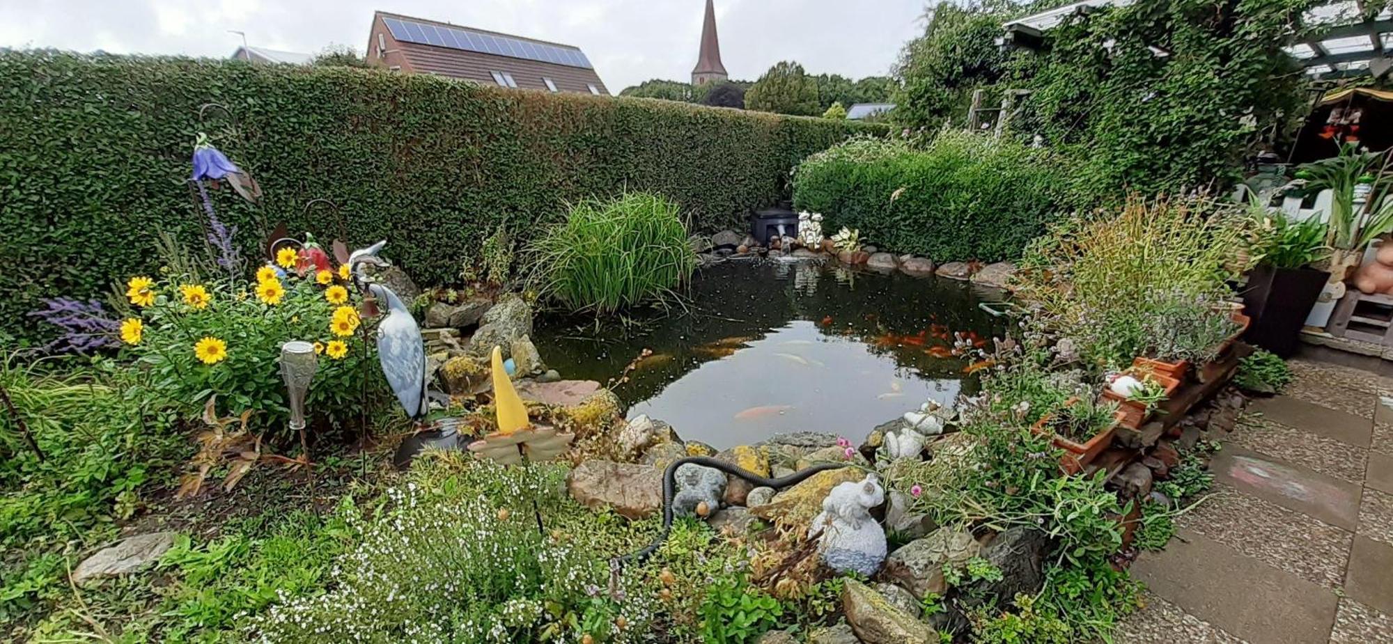Ferienwohnung-Wildblume Petersdorf auf Fehmarn المظهر الخارجي الصورة
